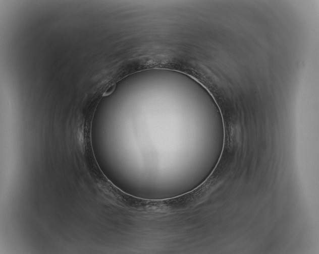 X0000113101250200909041219