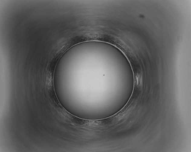 X0000113101251200909041219
