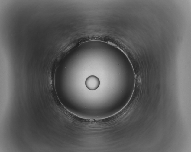 X0000113101252200909041219