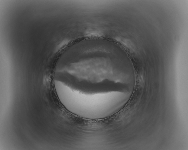 X0000113101254200909041219