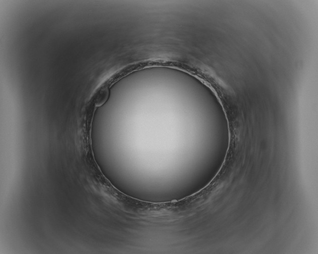 X0000113101256200909041219