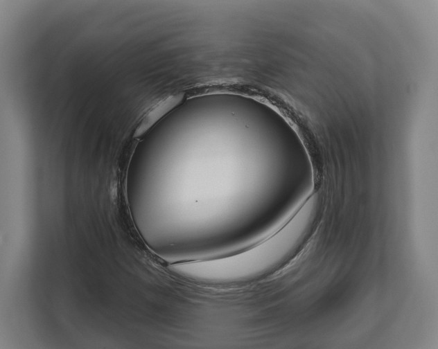 X0000113101257200909041219