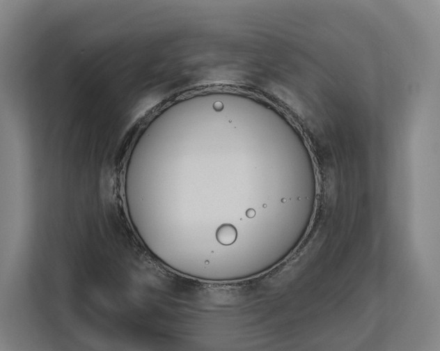 X0000113101258200909041219