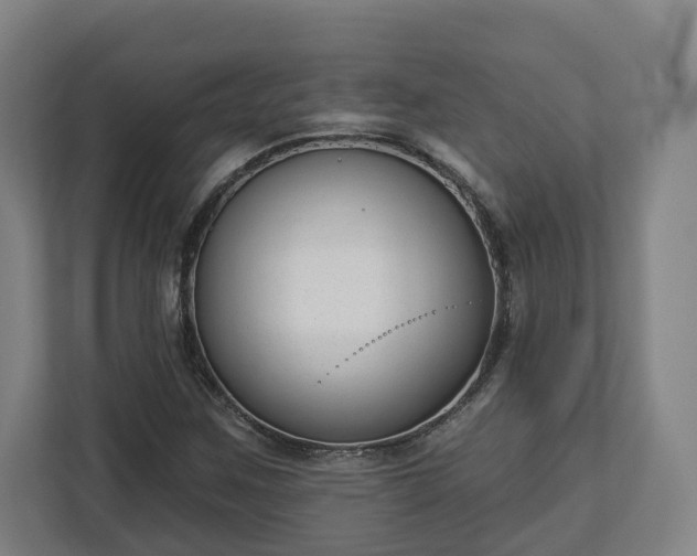 X0000113101259200909041219