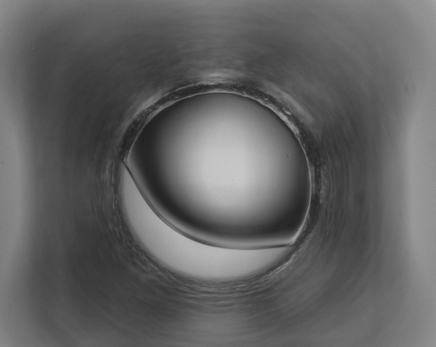 X0000113101261200909041219