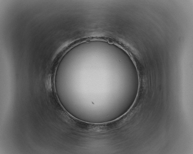 X0000113101262200909041219