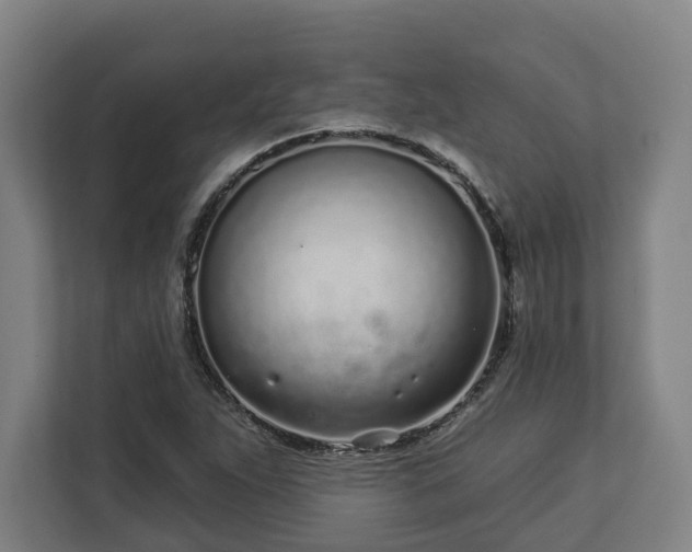X0000113101263200909041219