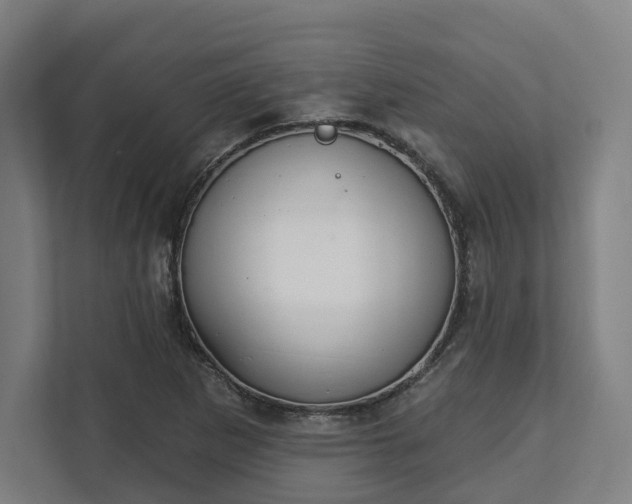 X0000113101265200909041219