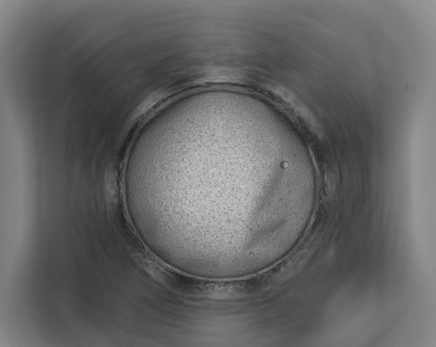X0000113101266200909041219