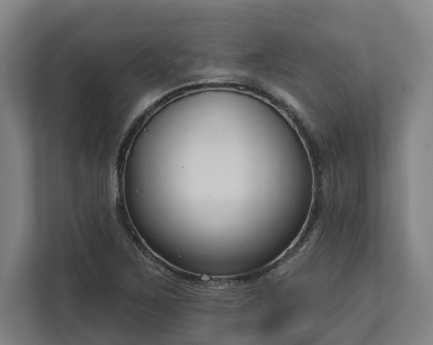 X0000113101267200909041219
