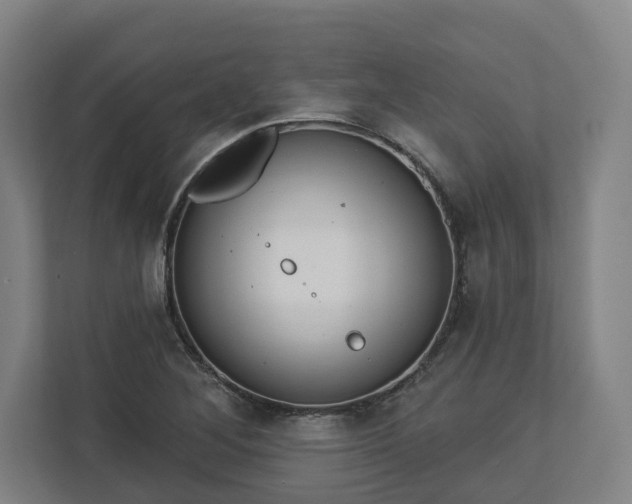 X0000113101268200909041219