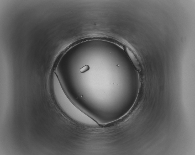 X0000113101269200909041219