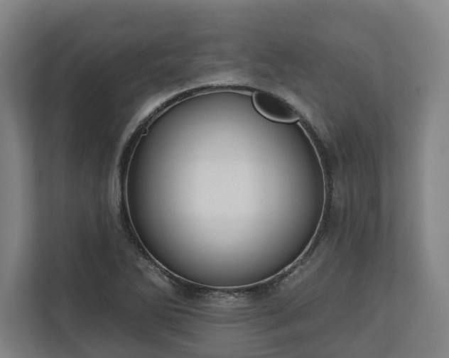 X0000113101270200909041219