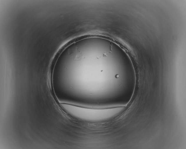 X0000113101272200909041219