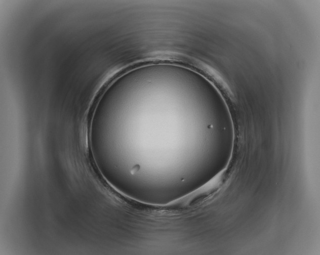 X0000113101275200909041219