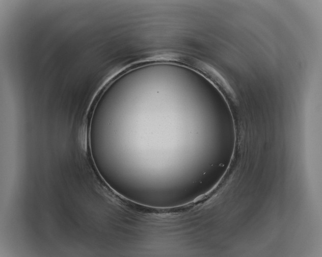 X0000113101276200909041219