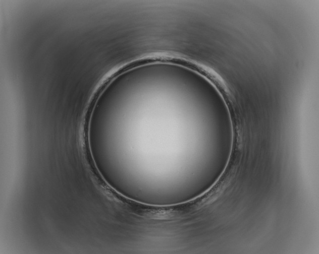 X0000113101279200909041219