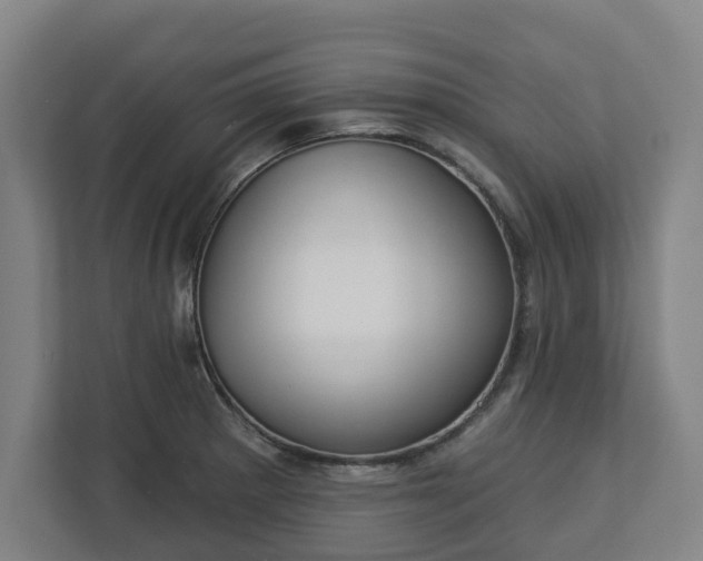 X0000113101281200909041219