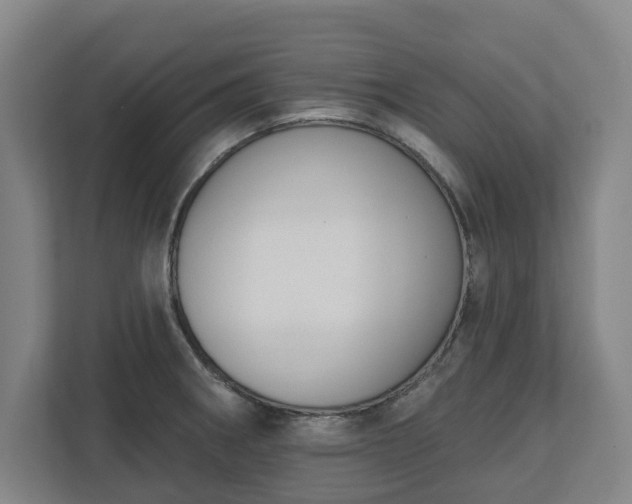 X0000113101282200909041219