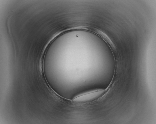 X0000113101284200909041219
