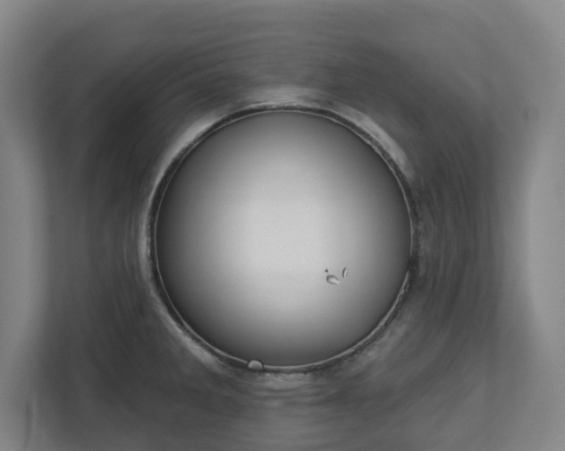 X0000113101285200909041219