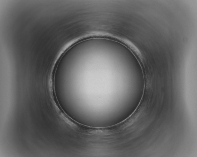 X0000113101287200909041219