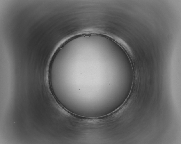 X0000113101288200909041218