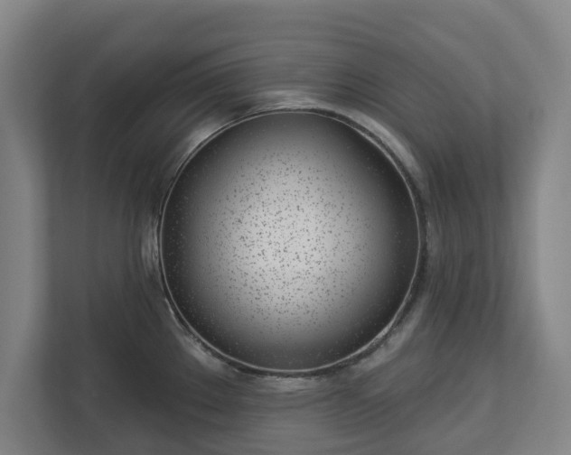 X0000113101289200909041218