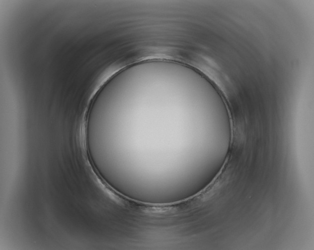X0000113101290200909041218