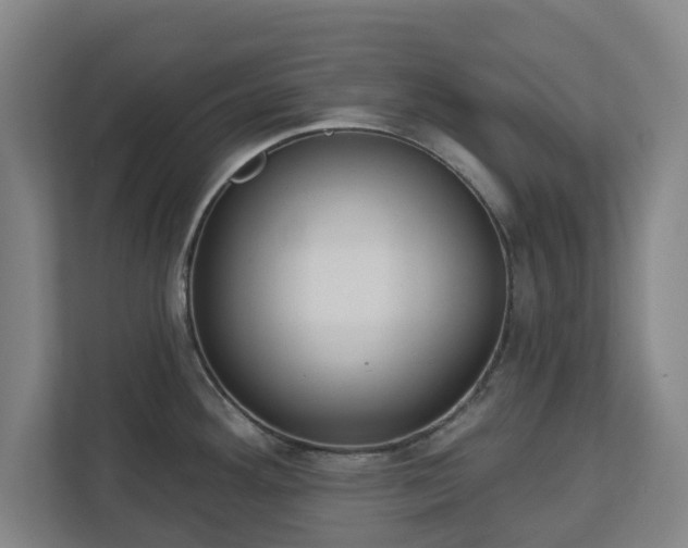 X0000113101292200909041218