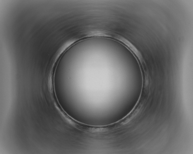 X0000113101293200909041218