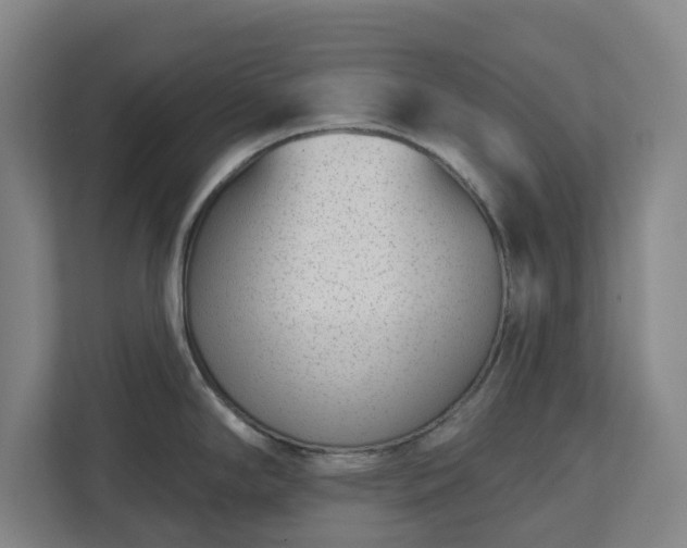 X0000113101294200909041218
