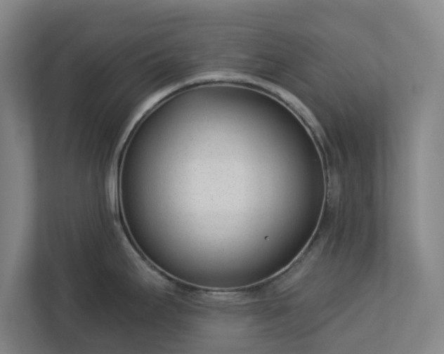 X0000113101295200909041218