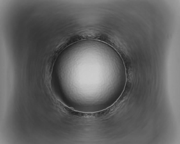 X0000113101297200909041218