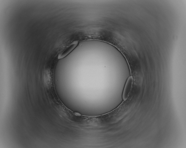 X0000113101298200909041218