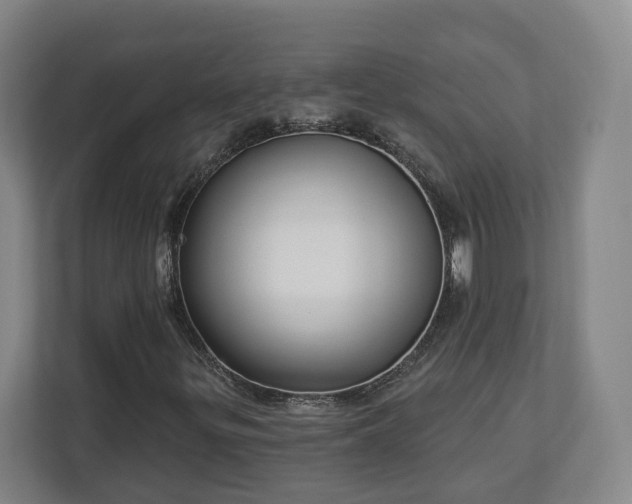 X0000113101299200909041218