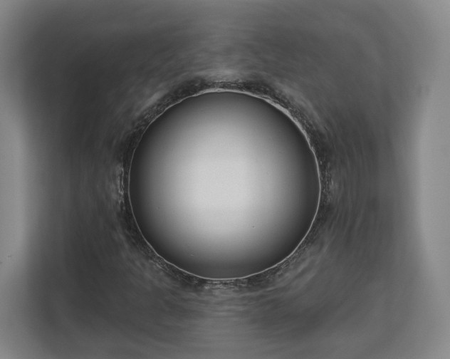 X0000113101301200909041218