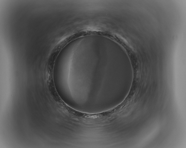 X0000113101303200909041218