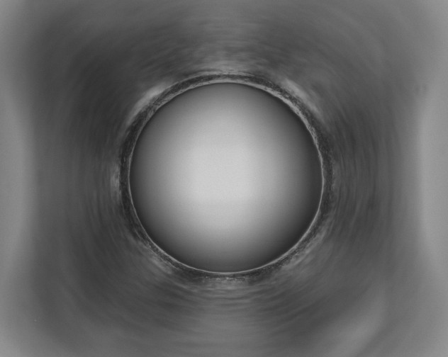 X0000113101307200909041218