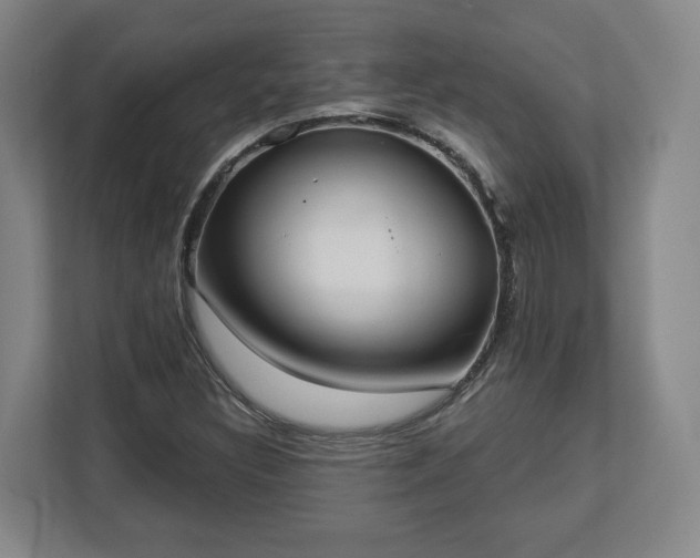 X0000113101308200909041218