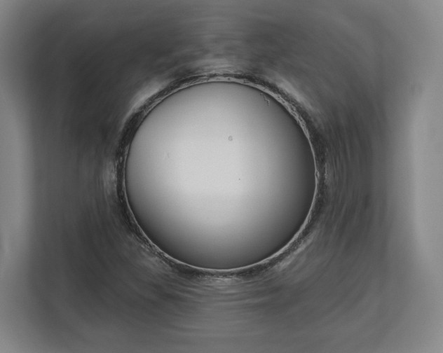 X0000113101309200909041218