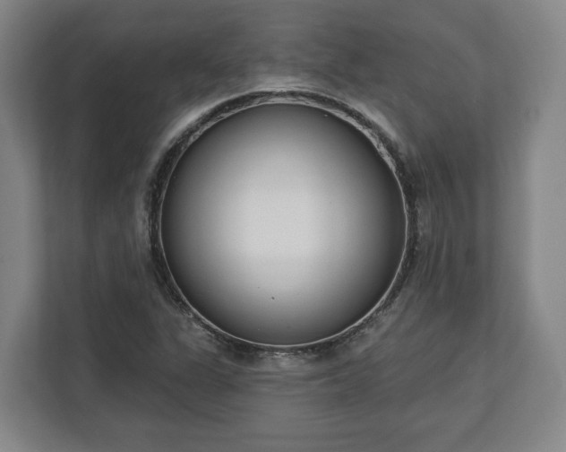 X0000113101311200909041218