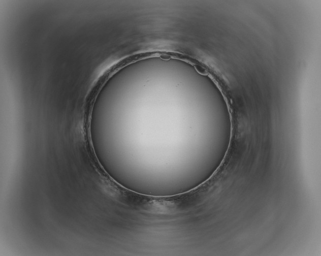 X0000113101312200909041218