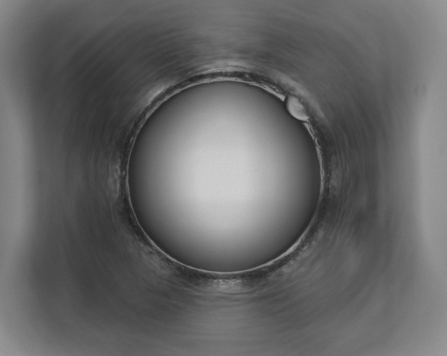X0000113101313200909041218