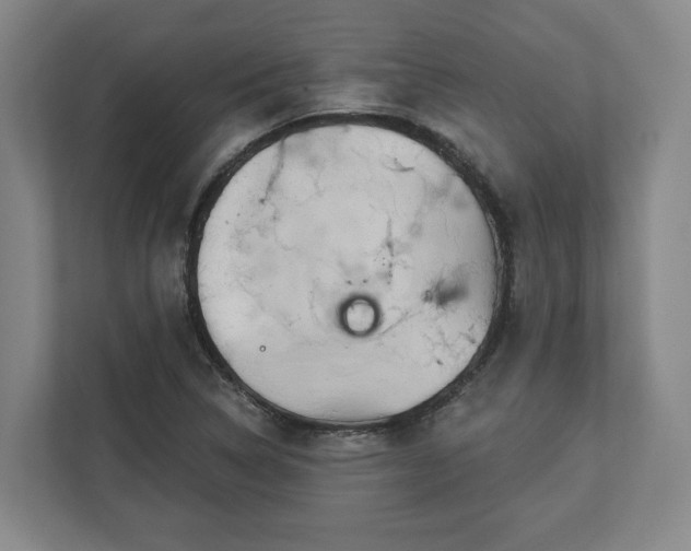 X0000113101314200909041218
