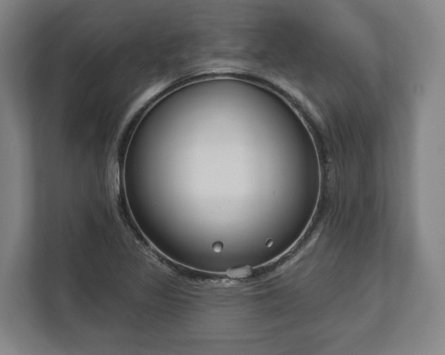 X0000113101317200909041218