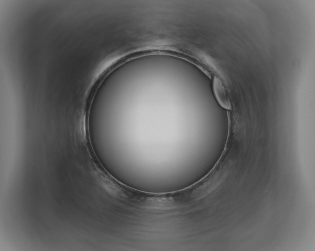 X0000113101320200909041218