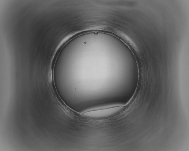 X0000113101324200909041218