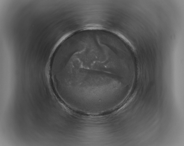 X0000113101325200909041218