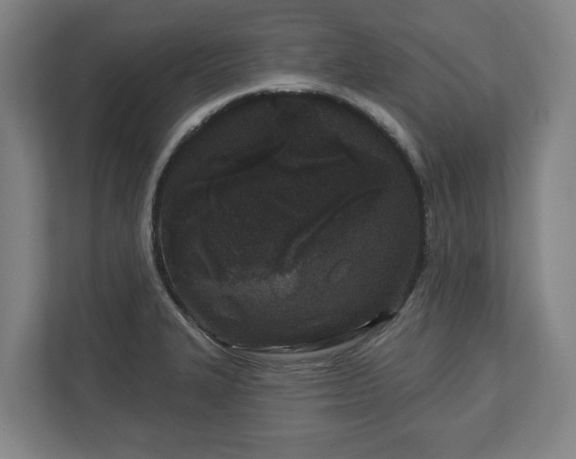 X0000113101327200909041218